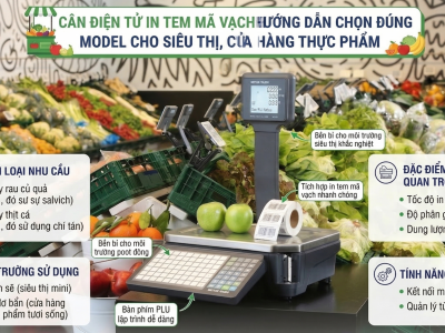 Cân Điện Tử In Tem Mã Vạch: Hướng Dẫn Chọn Đúng Model Cho Siêu Thị, Cửa Hàng Thực Phẩm